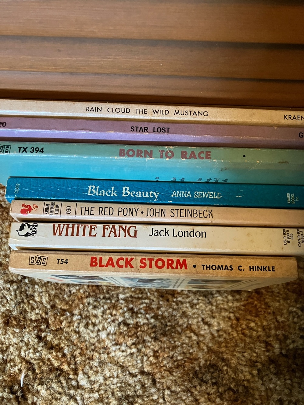 Stack of Vintage Paperback Book Spines in Blue, Cream, Tan, and Red
